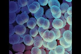 Adriannakyle sex she is a different young newcomer in the