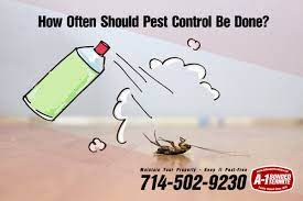 Only when pest start to bother you, other wise you are creating environmental damage plus ruining your health if you do it more than you should, i only. How Often Should Pest Control Be Done A 1 Bonded Termite Inc