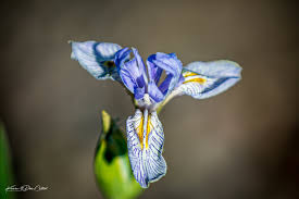 Quick trip to Yellowstone...
