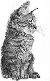 Check spelling or type a new query. Imagenes De Dibujos Tumblr Geniales Saberimagenes Com