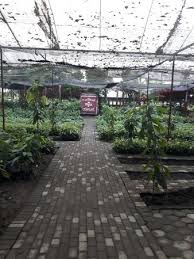 Scribd is the world's largest social reading and publishing site. Pintu Masuk Kampung Coklat Bayar Tiket Masuk Picture Of Kampung Coklat Blitar Tripadvisor
