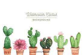 Cactus Vectors Photos And Psd Files Free Download
