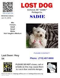 Maybe you would like to learn more about one of these? Still Missing Amherst Portage Lost Dogs Of Wisconsin Facebook