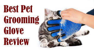 best pet grooming glove review pet grooming cat brushing dog brushing