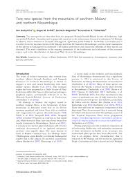 Image result for Isoglossa eliasbandae