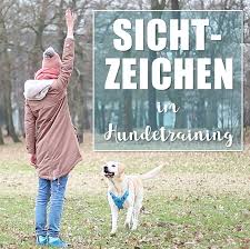 Hundetraining Mein Hund Hort Nicht Die Wichtigkeit Von Sichtzeichen Und Ruckruftraining Als Hundetraining Mit Deinem Hundchen Training Hundetraining Hunde
