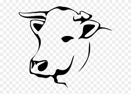Black white jersey cow laying field autumn fall season trees colors grass green livestock animal farm food beef milk agriculture mar. Holstein Friesian Cattle Jersey Cattle Line Art Dairy Cow Png Black And White Free Transparent Png Clipart Images Download