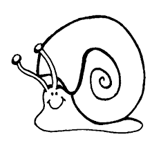 Desenho De Caracol 1 Para Colorir Colorir Com