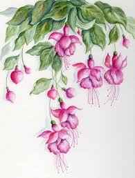 Risultati immagini per Naturaleza perfecta. Fuchsia.