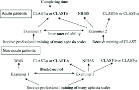The Flow Chart To Administer Aphasia Scales In Acute And Non