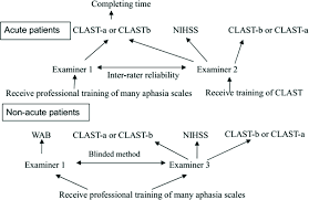 the flow chart to administer aphasia scales in acute and non