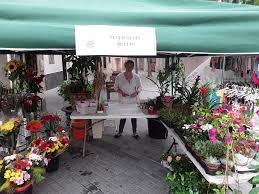 Floristeria Arrels