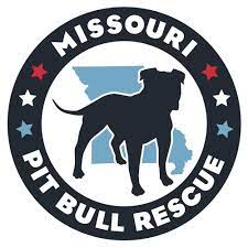 Xl pit bull pitbull puppies for sale to kansas. Pets For Adoption At Missouri Pit Bull Rescue In Kansas City Mo Petfinder