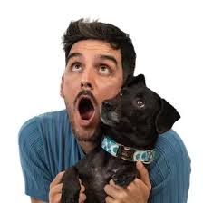 Agosto, el mes más perrunamente bello a través de los dibujos de Sally Muir  y también #doggust