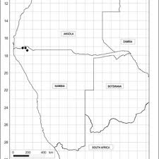 Image result for Hymenodictyon parvifolium