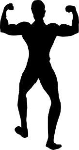 muscles clipart female bodybuilding muscles female bodybuilding transparent free for download on webstockreview 2020 muscles clipart female bodybuilding