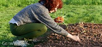 And the better the garden beds are prepared, the less work there will be during the growing season, and the more likely the gardener's vision will come to fruition. Plan Your First Vegetable Garden In 5 Easy Steps
