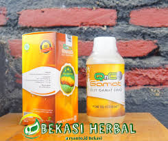 Hasil gambar untuk Syaraf Terjepit Di Pinggang