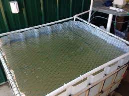 See more ideas about bait tank, bait, fishing bait. Catfishing Questions Answered Quickly Bait Tank Diy Fishing Bait Koi Fish Care