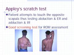 Image result for Shoulder Instability Exam