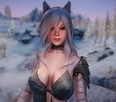 20 Best Female Follower Mods For Skyrim: The Ultimate Collection –  FandomSpot