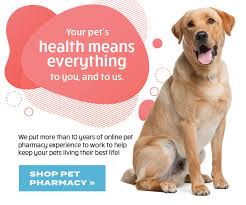 If your pet needs special medications that are hard to find locally, an online pet pharmacy might be your best bet. Lambert Vet Supply Our Pet Pharmacy Puts Pets First Milled