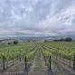 Chart House - Cakebread Cellars Wine Dinner