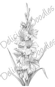 Gladiolus Flower Drawing Gladiolus Flower Flower Drawing Gladiolus Tattoo How to draw a gladiolus step by step. gladiolus flower drawing gladiolus