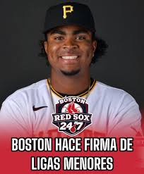 Introduction to Boston Red Sox Fenway Faithful Group