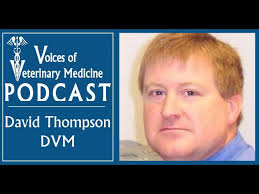 Dr. Rachel Cumberbatch