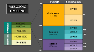 Paleozoic era timeline and periods. Mesozoic Era Timeline And Important Facts Science Struck
