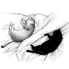 Ioana Pioaru On Instagram Sleeping Cuties Drawing From My 2018 Inktober Series Fit For A Lazy Caturday Caturday Catur Drawings Ink Drawing Caturday