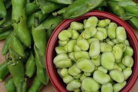 Fava bean has white flowers with some black or brown. Growing Broad Beans From Seed Planting Guide Agri Farming