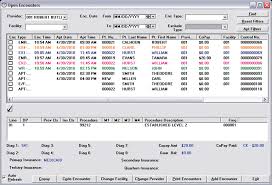 ams ultra charts software american medical software