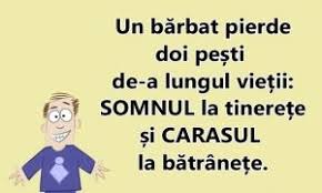 Bancuri Jokes And Riddles Funny Quotes Jokes