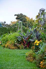 The Colors And Textures Of A Mixed Vegetable Herb And Flower Garden In Autumn As It Begins To Decline Vertical Herb Garden Garden Herb Garden
