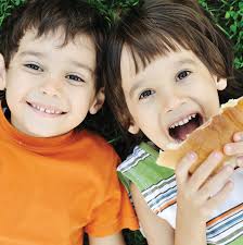 JFSA Annual Report 2012