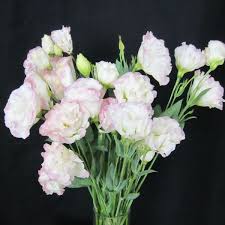 Flowers In Season April With Images July Flowers Floral Wedding Bridal Flowers