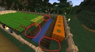 This is also helpful if you want to transplant mycelium blocks. Do Pumpkins Need Light To Grow Minecraft Minecraft News