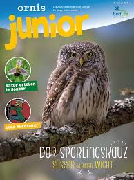 Comics für kinder und junge erwachsene: Ornis Junior Archiv Birdlife Schweiz Suisse Svizzera