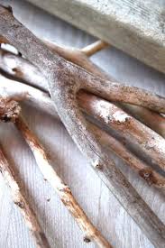 2.4 international human rights day. Wooden Creation 10 Diy Projects And Tutorials To Test Paintonline Info