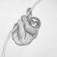 Sketching Sloths: Workshop for Children 7+ with event image