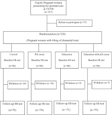 Flow Chart Of Study Participation And Follow Up By Groups