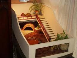 Echo S New Table For Tuga Tortoise Enclosure Tortoise House Tortoise Table