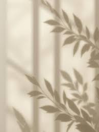 Image result for tbn:VyyNohIYPaX0MM::photos.azyya.com/store/up2/080822054134yB3a.gif