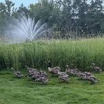 Wednesday Evening Hike—Central Park & Drinks/Food...