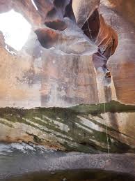 Canyoneering Lower Echo Canyon - Zion Main Canyon - Road Trip Ryan
