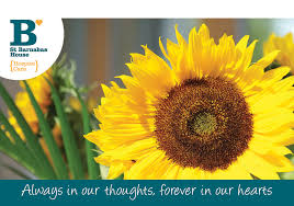 Flowershopping.com specializes in sympathy flowers and has information on funeral flower etiquette. A Gift In Lieu Of Flowers Gift Donations