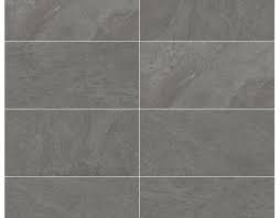 Image result for Aedesia