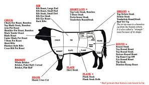 Understanding Beef The Loin Tonys Meats Market